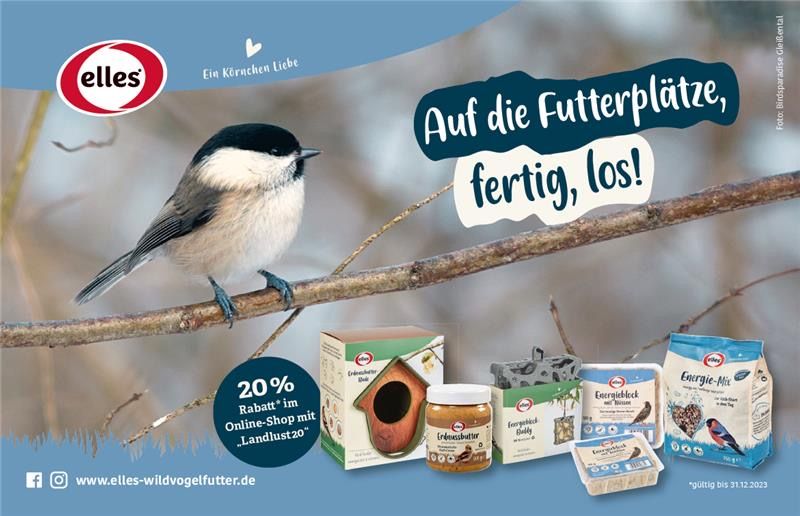 Das gibt es zu gewinnen bei der Stunde der Wintervögel 2023 - LBV -  Gemeinsam Bayerns Natur schützen